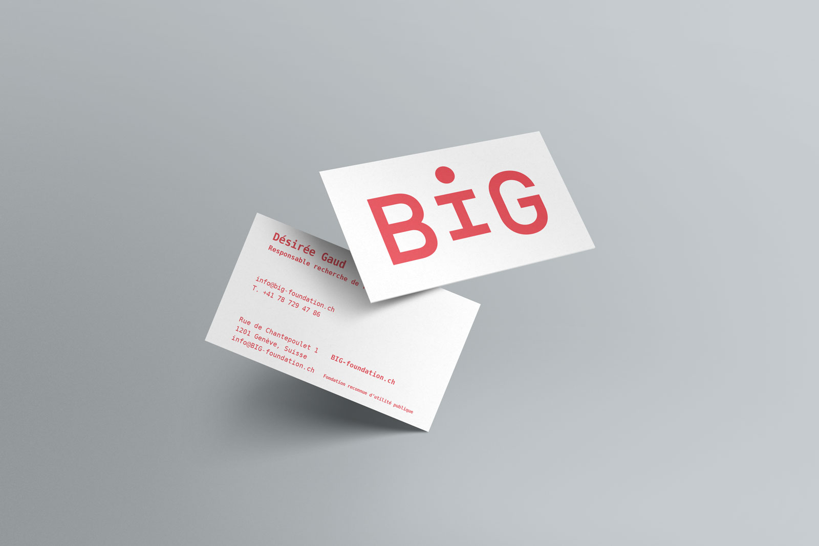 big-cdv