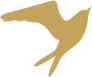 bird-orange-ch